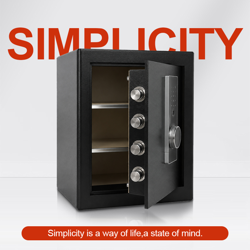 生体認証指紋式金庫、デジタルキーパッドセキュリティ金庫（手動 - Home Security Key Box のレビューと価格