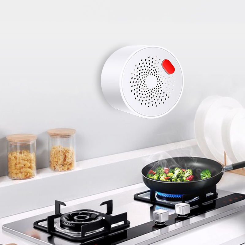 Tuya-インテリジェント家庭用ガスセンサー,不燃性,ガス漏 - Home Security Tools のレビューと価格